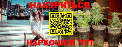 гидропоника Заводоуковск