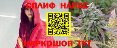 гидропоника Заводоуковск