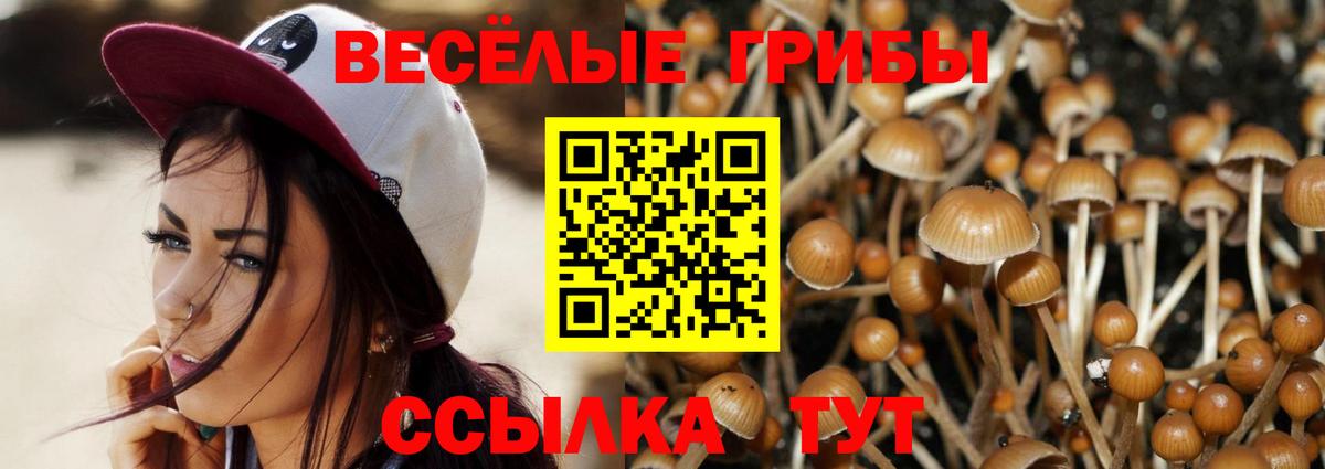 Галлюциногенные грибы мицелий Крымск